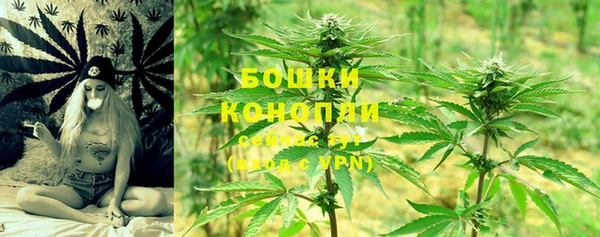молекула духа Липки