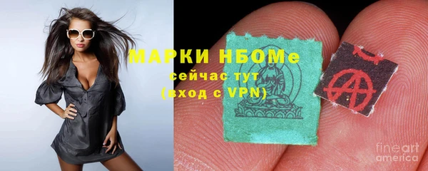 хмурый Ладушкин